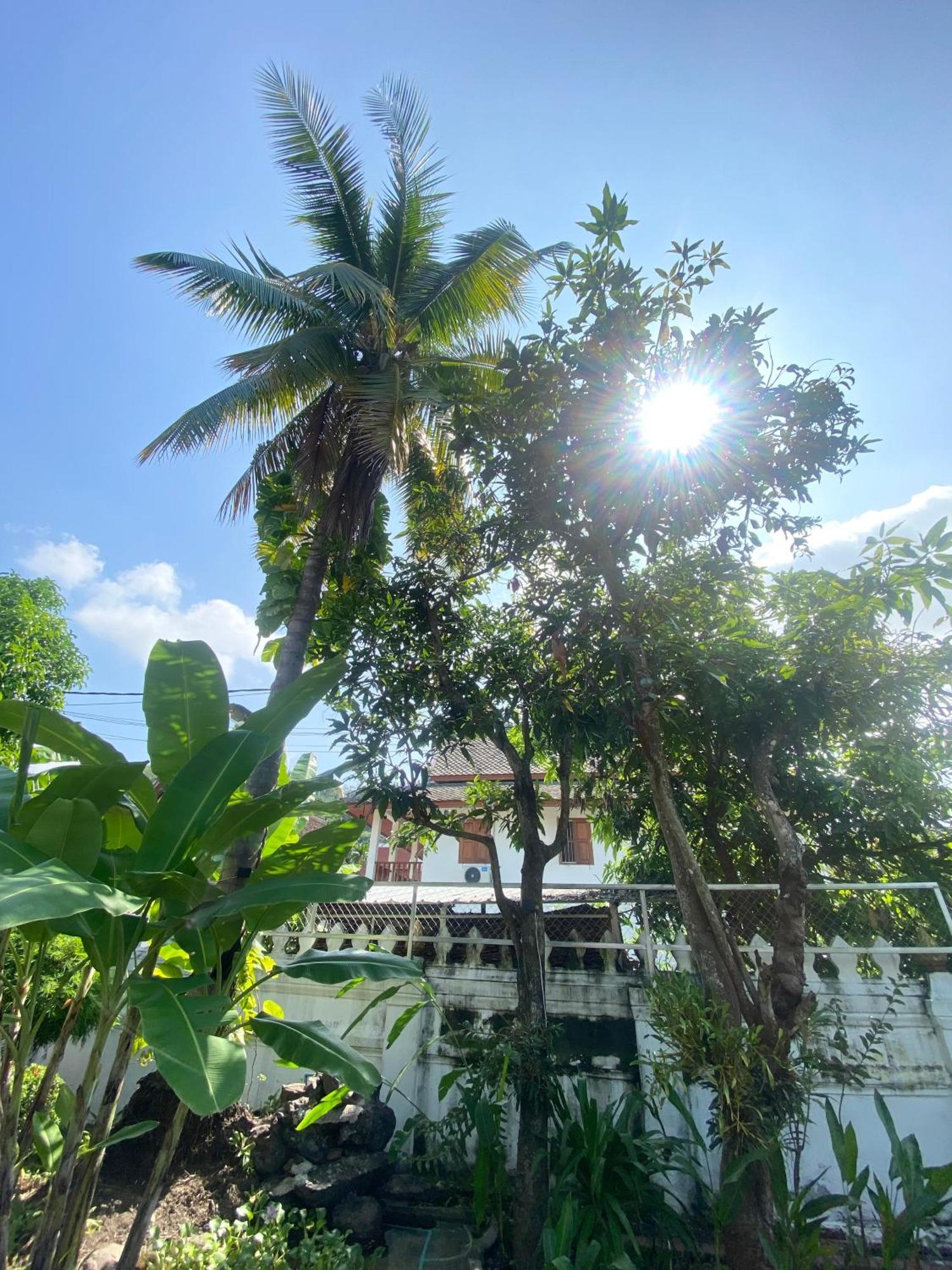 Luang Prabang Residence & Travel Kültér fotó