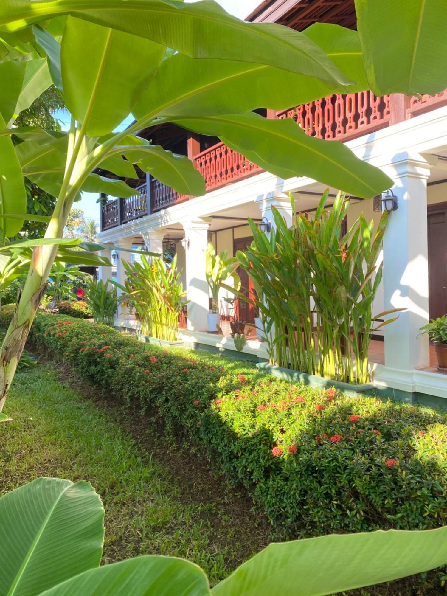 Luang Prabang Residence & Travel Kültér fotó