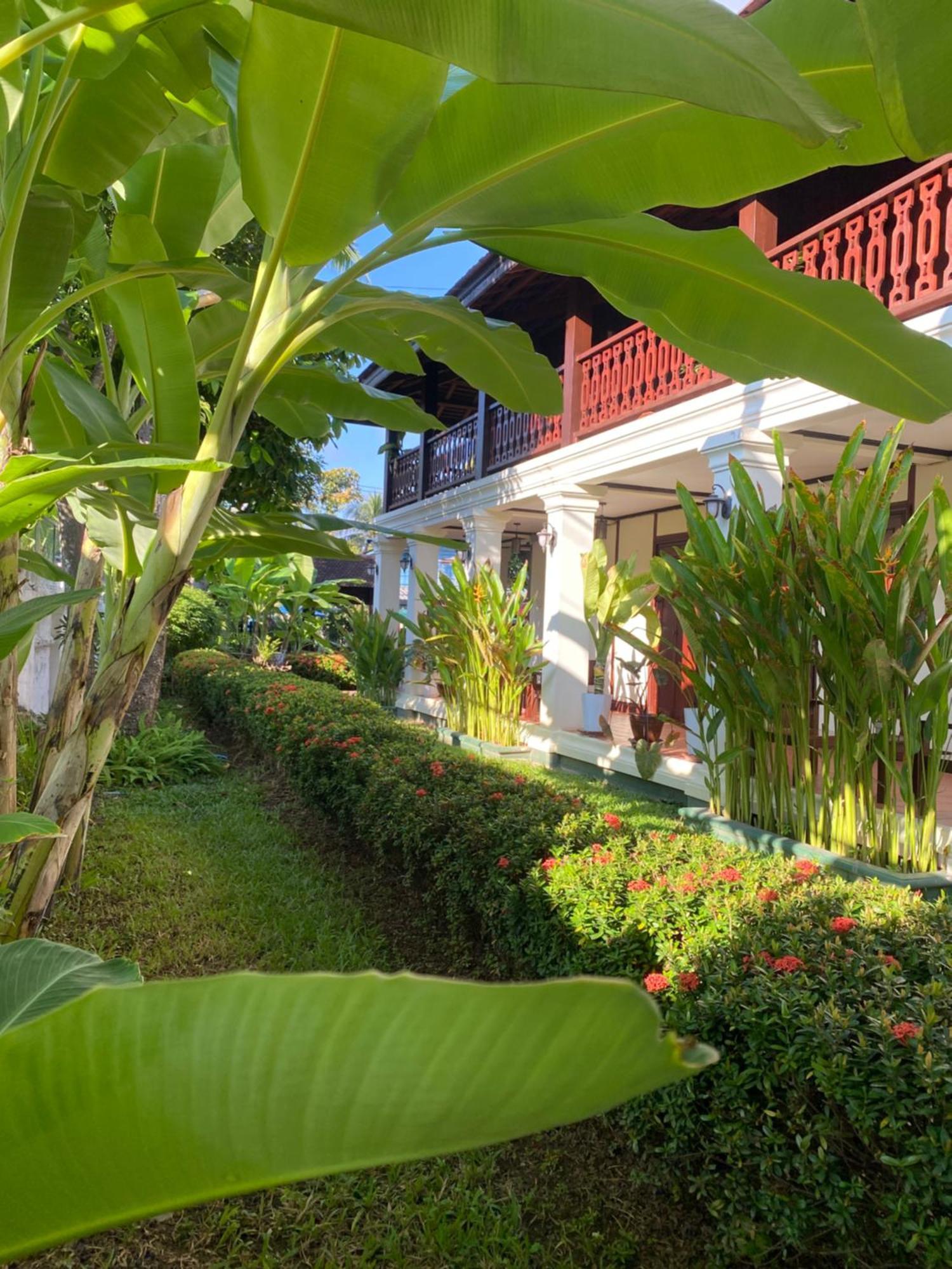 Luang Prabang Residence & Travel Kültér fotó