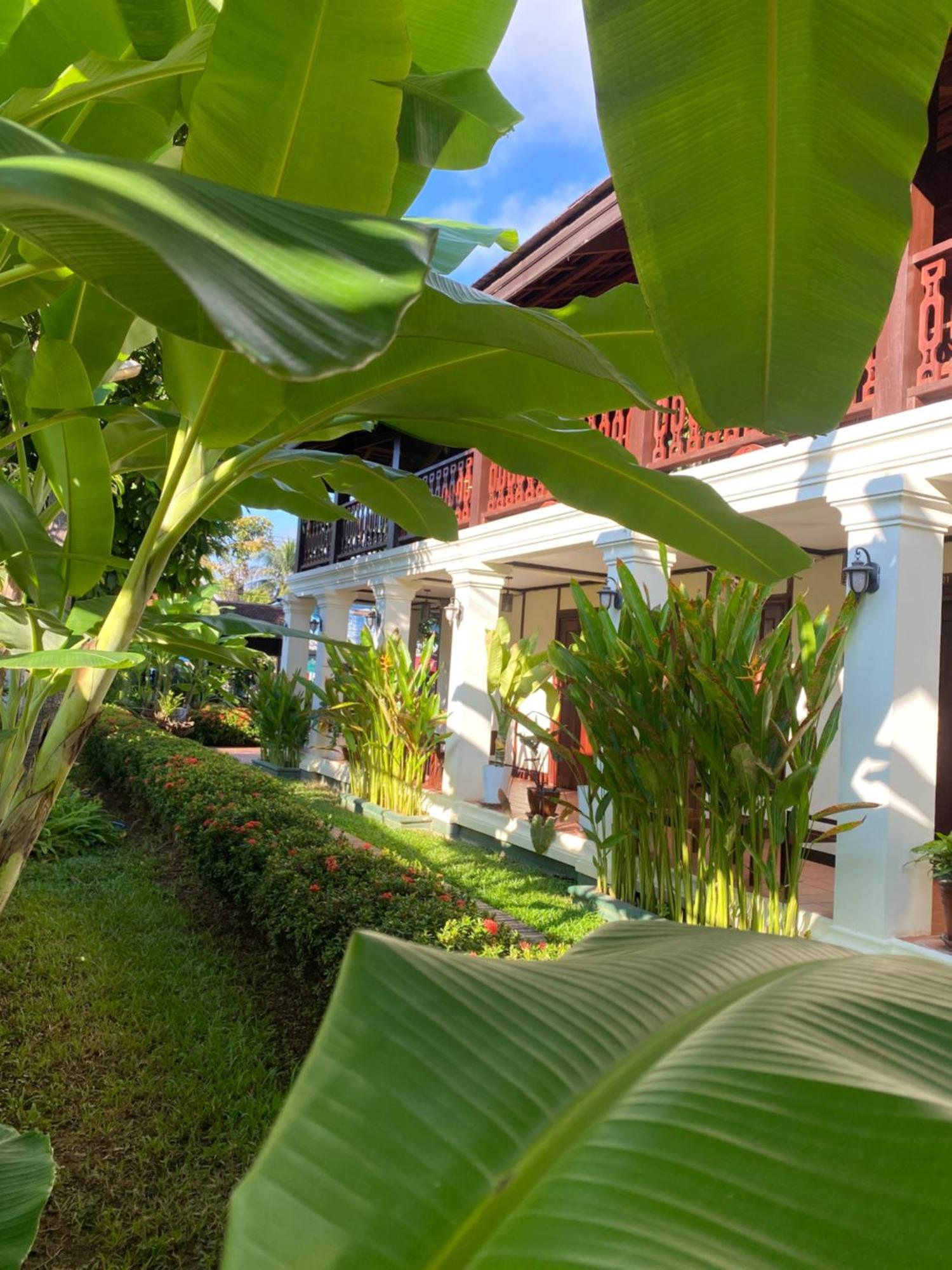 Luang Prabang Residence & Travel Kültér fotó